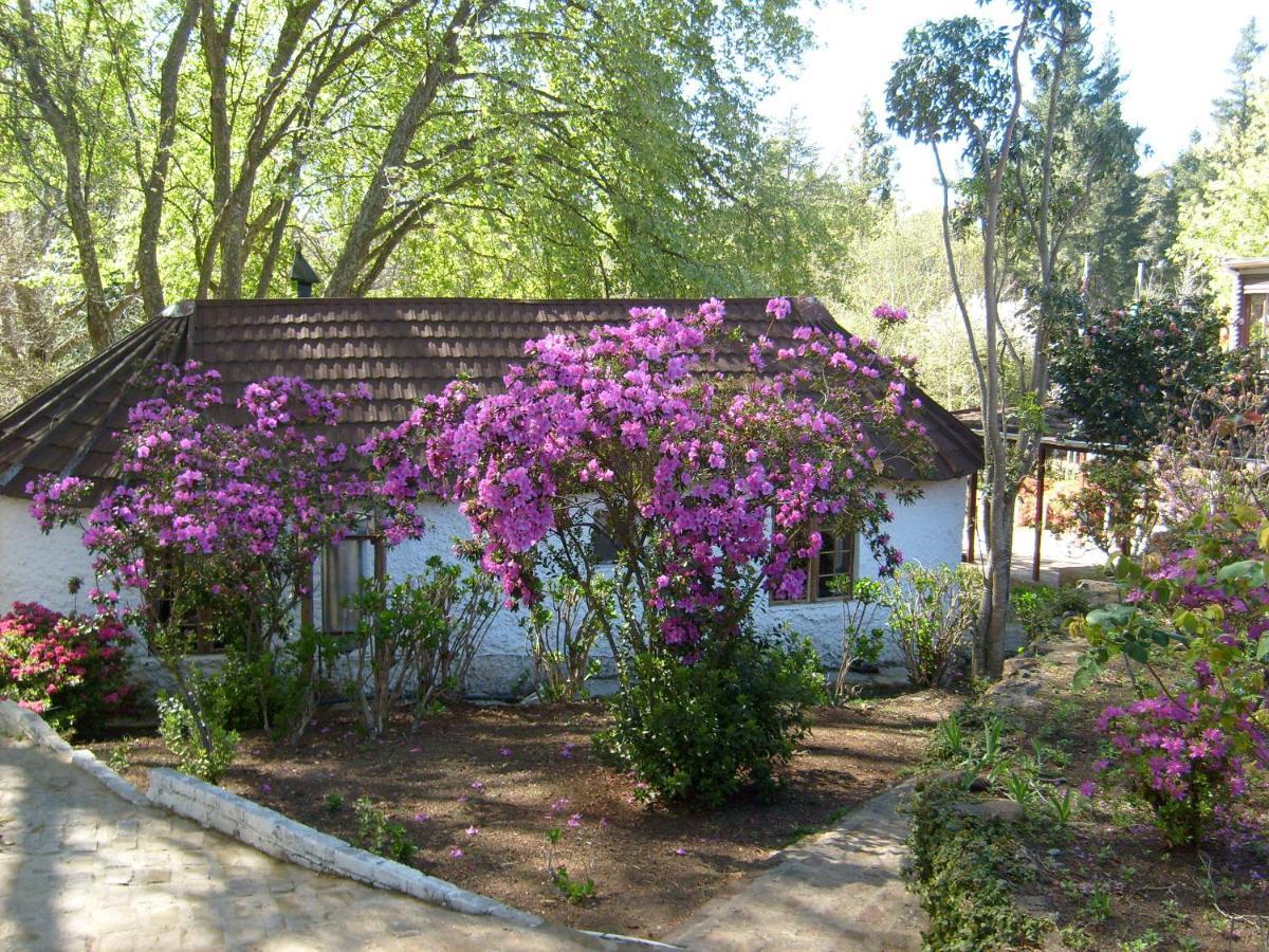 Kings Lodge Hotel Hogsback Zewnętrze zdjęcie