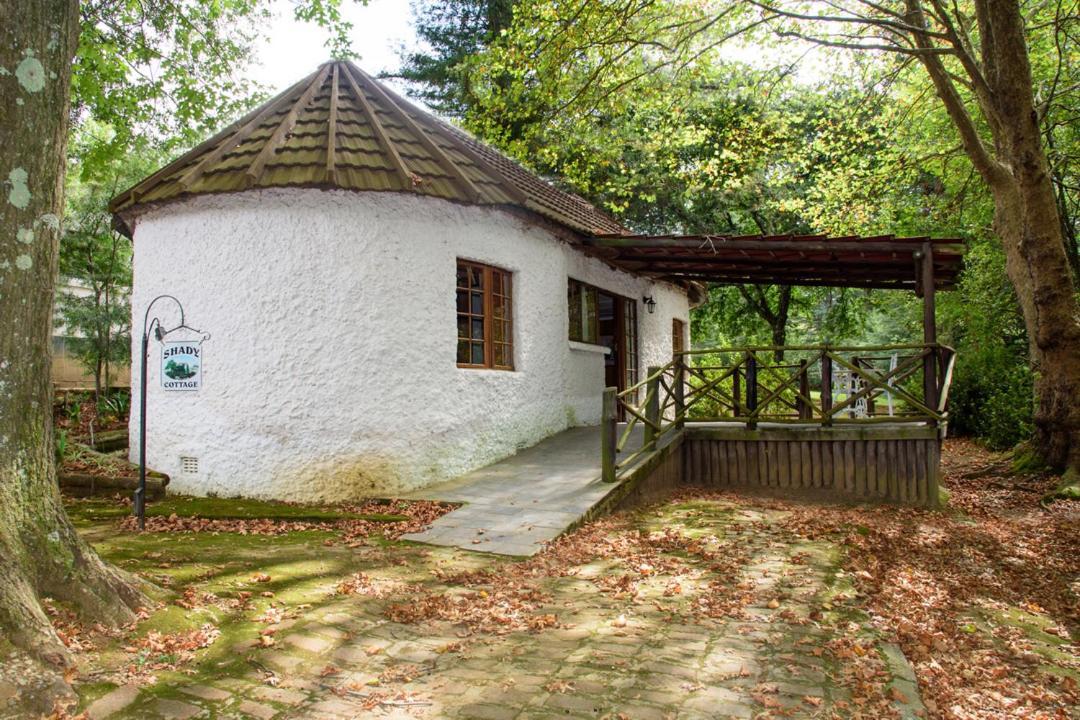 Kings Lodge Hotel Hogsback Zewnętrze zdjęcie