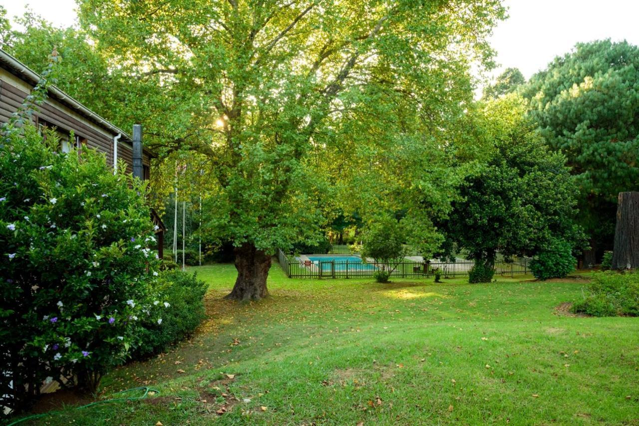 Kings Lodge Hotel Hogsback Zewnętrze zdjęcie